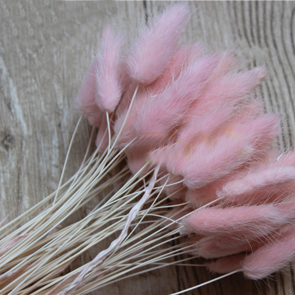Dried Flower Bunch - 50pcs 말린 자연 꽃 꽃다발 핑크
