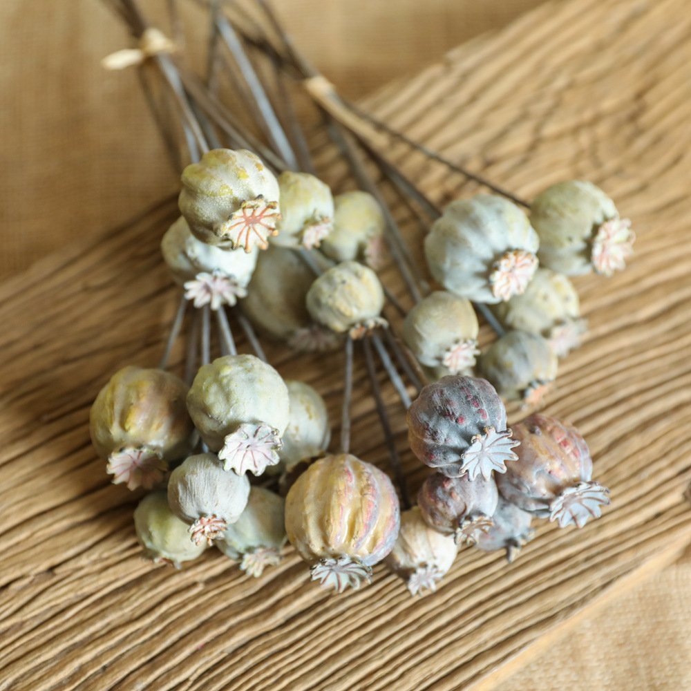 Dried Flower Bunch - 양귀비 과일 말린 꽃 다발, 홈