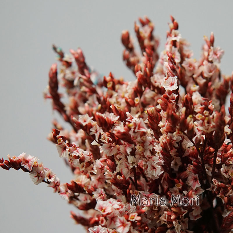 Dried Flower Bunch - 5g/다채로운 Dired 보존 크리스탈 잔디 홈