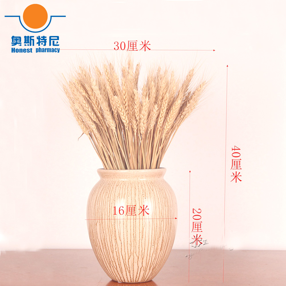 Dried Flower Bunch - 50개 천연 드라이플라워 부케, 밀 이삭