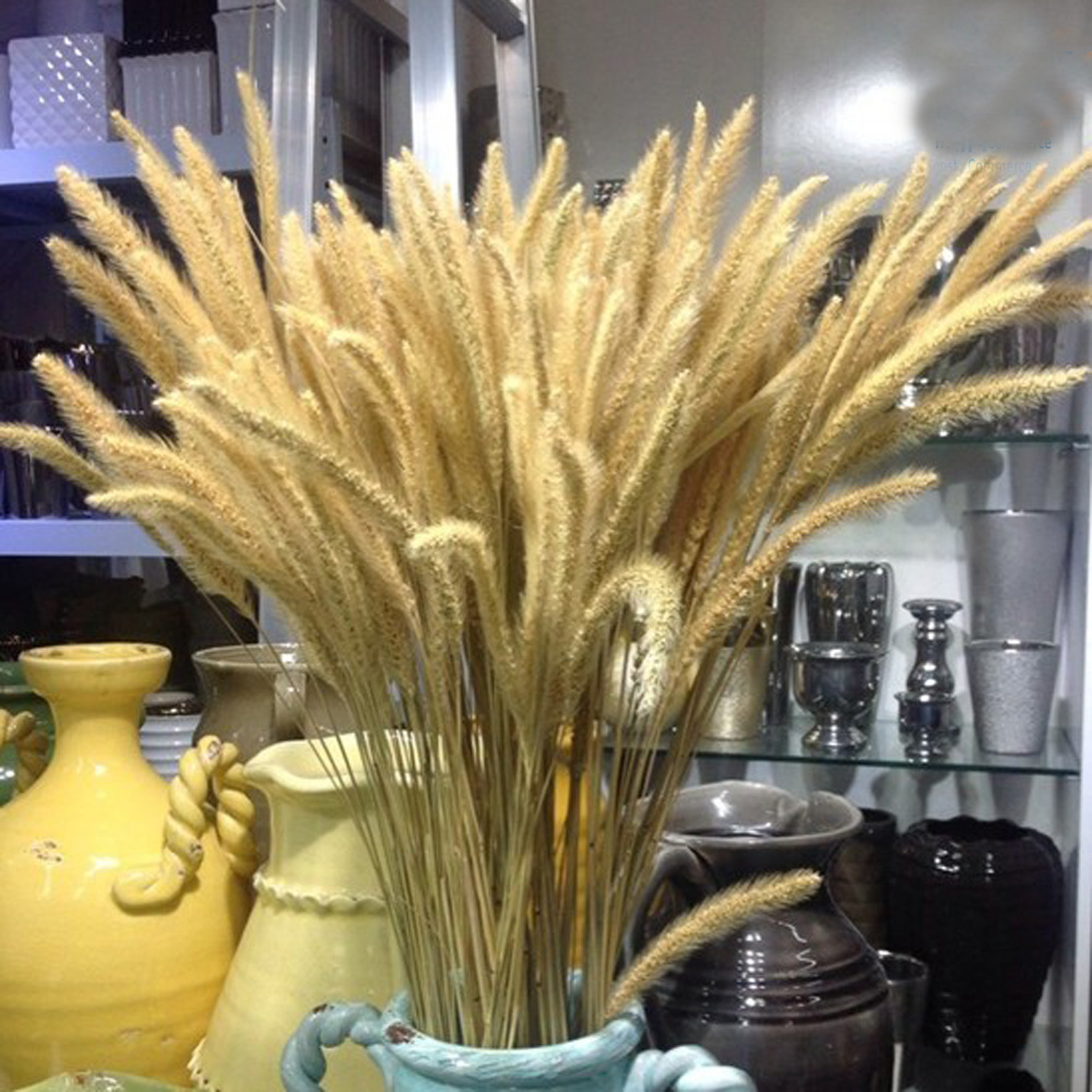 Dried Flower Bunch - 200pcs 자연 건조 Lagurus ovatus 부케