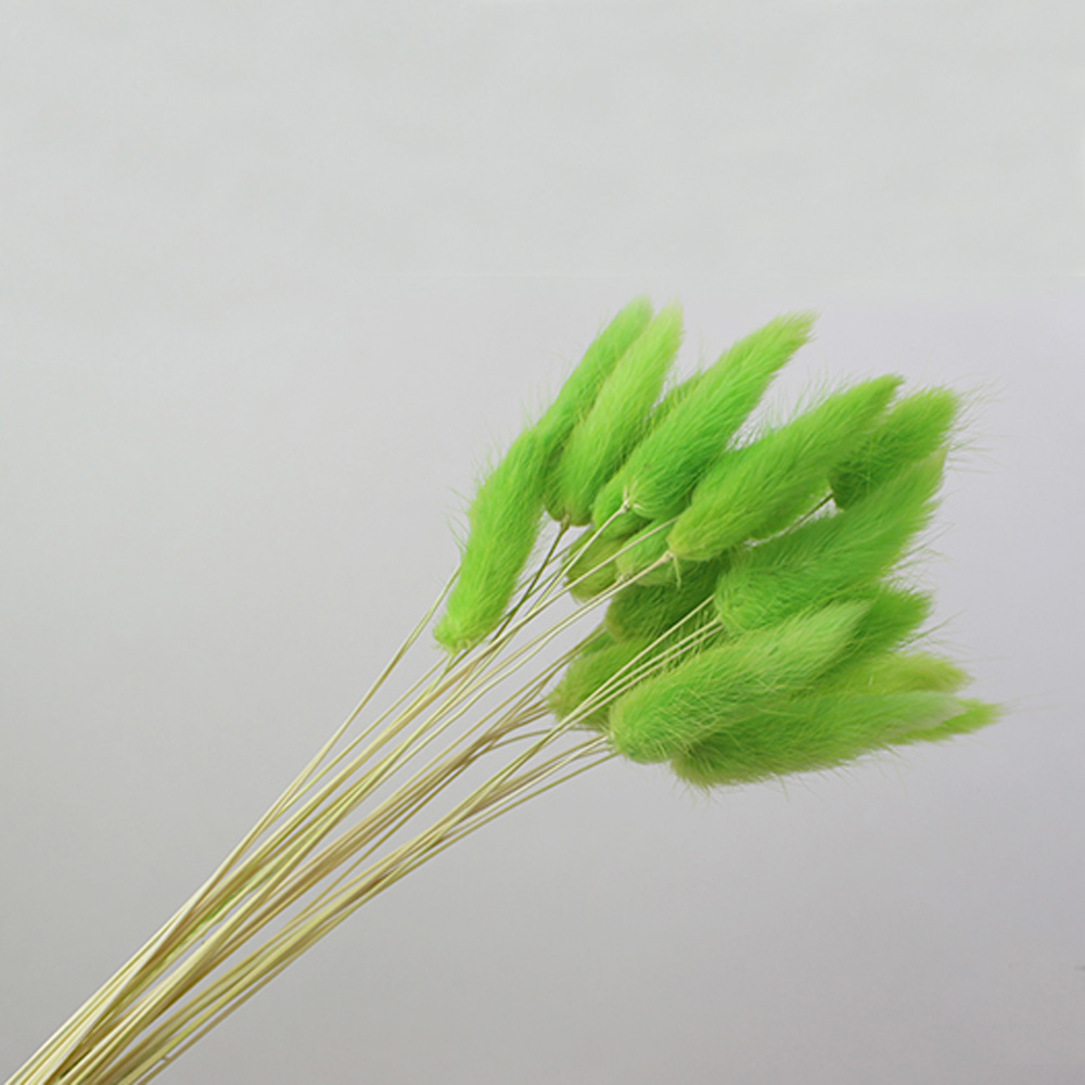 50pcs 말린 자연 꽃 꽃다발 핑크 컬러 Laguru - Dried Flower Bunch 리뷰 및 가격