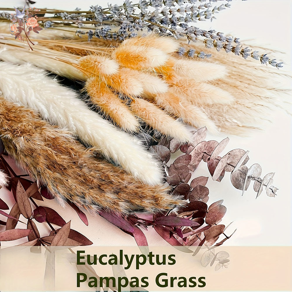 75PCS 말린 팜파스 유칼립투스 잎 꽃 꽃다발 오렌지 - Dried Flower Bunch 리뷰 및 가격