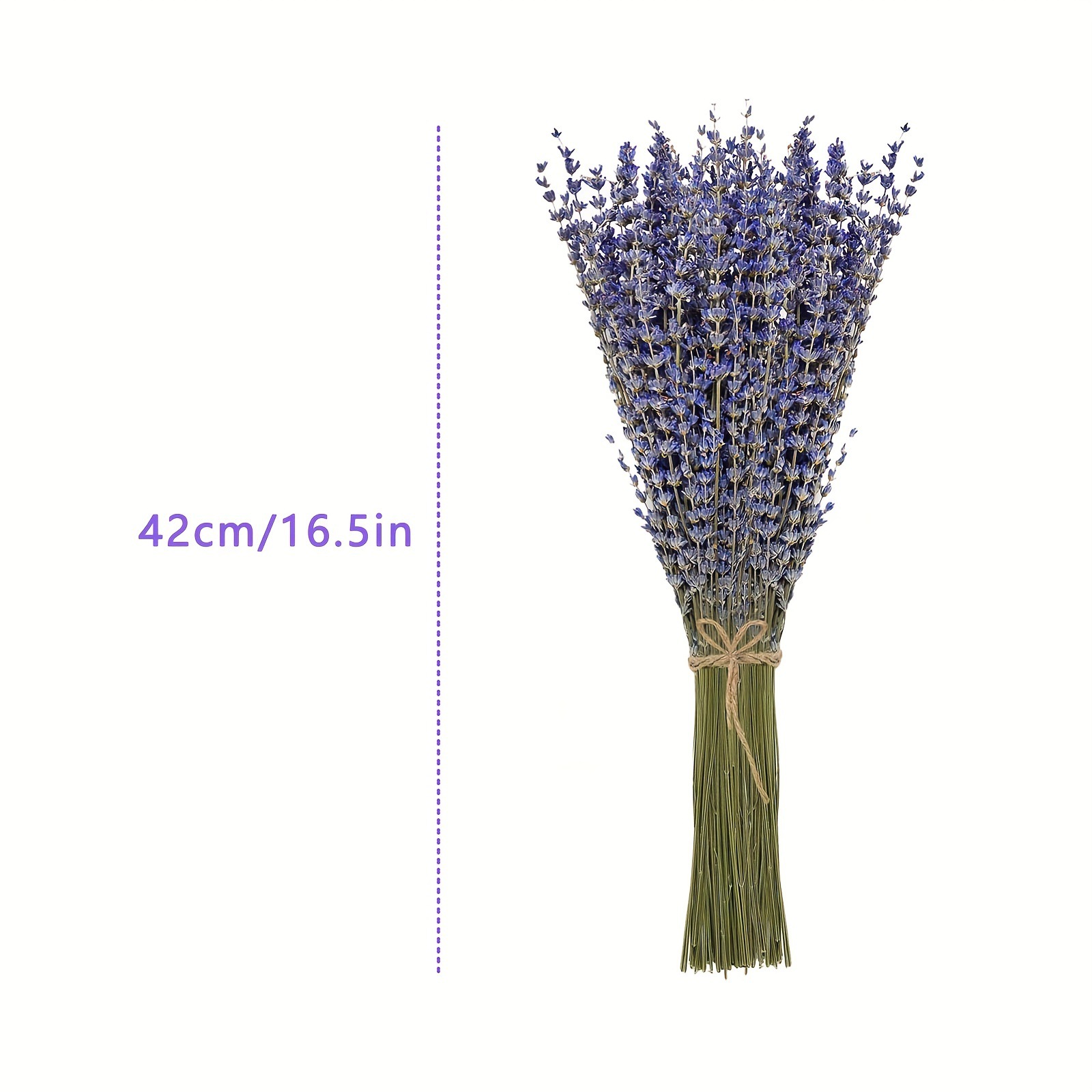 200pcs/Bunch 라벤더 말린 꽃 홈 거실 장식용 - Dried Flower Bunch 리뷰 및 가격