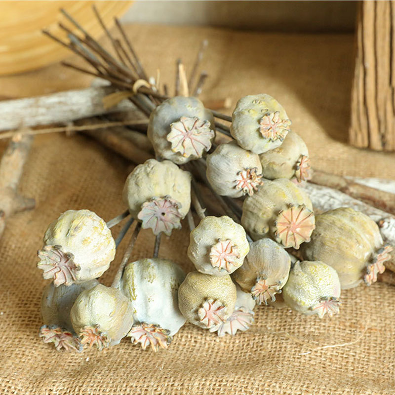 양귀비 과일 말린 꽃 다발, 홈 장식용 인공 꽃 꽃다발 - Dried Flower Bunch 리뷰 및 가격