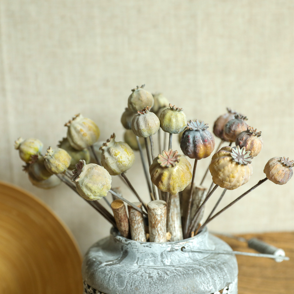 양귀비 과일 말린 꽃 다발, 홈 장식용 인공 꽃 꽃다발 - Dried Flower Bunch 리뷰 및 가격