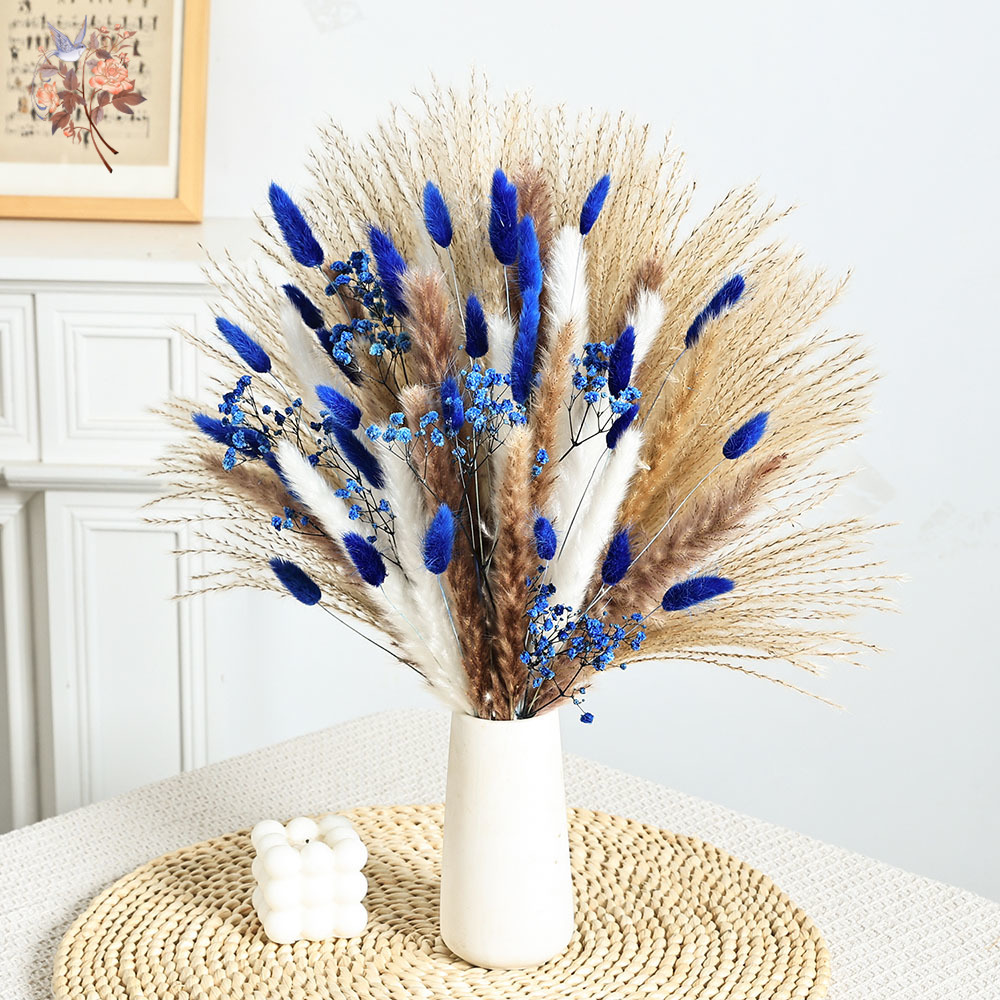 70 줄기 블루 푹신한 토끼 꼬리 팜파스 잔디 묶음 말 - Dried Flower Bunch 리뷰 및 가격