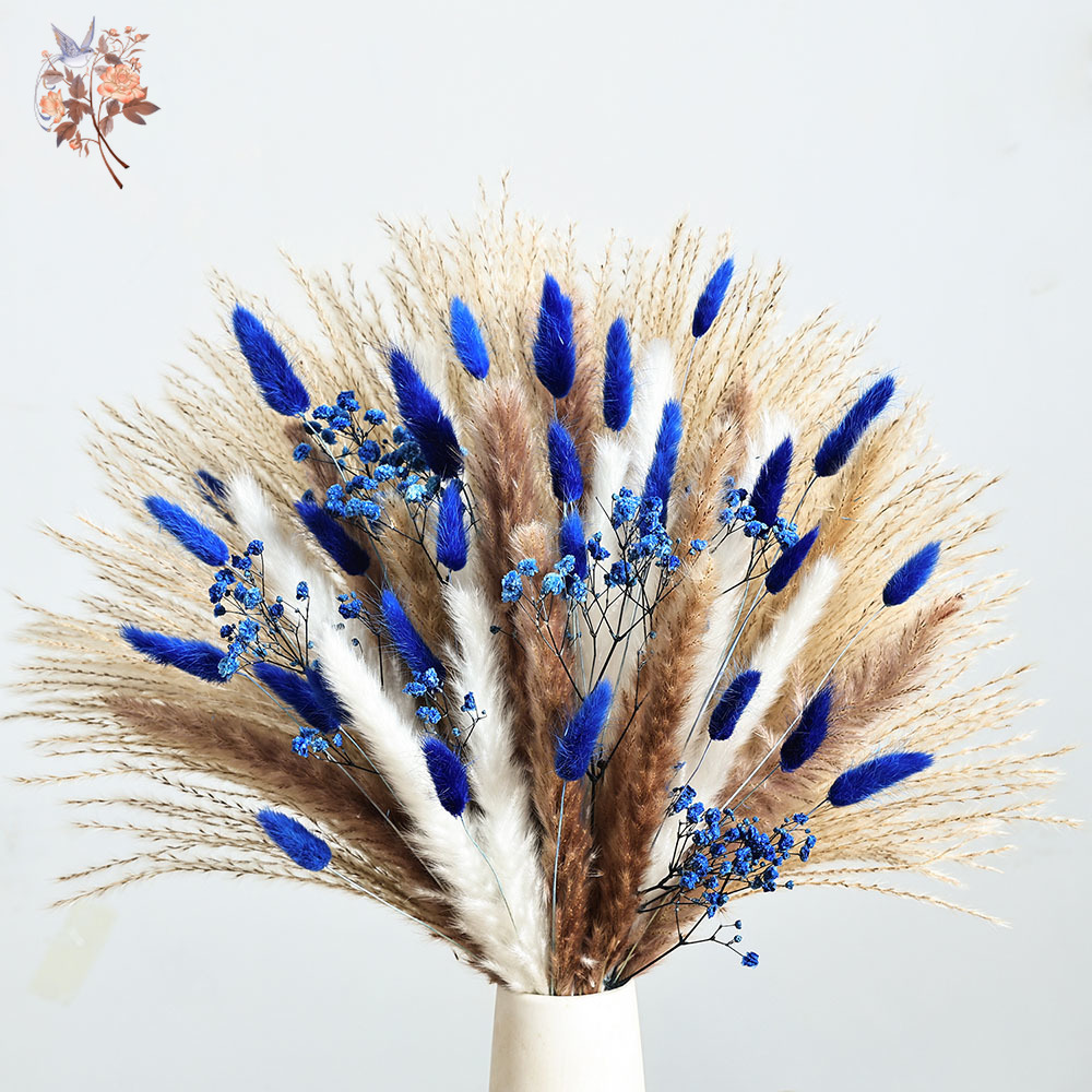 70 줄기 블루 푹신한 토끼 꼬리 팜파스 잔디 묶음 말 - Dried Flower Bunch 리뷰 및 가격