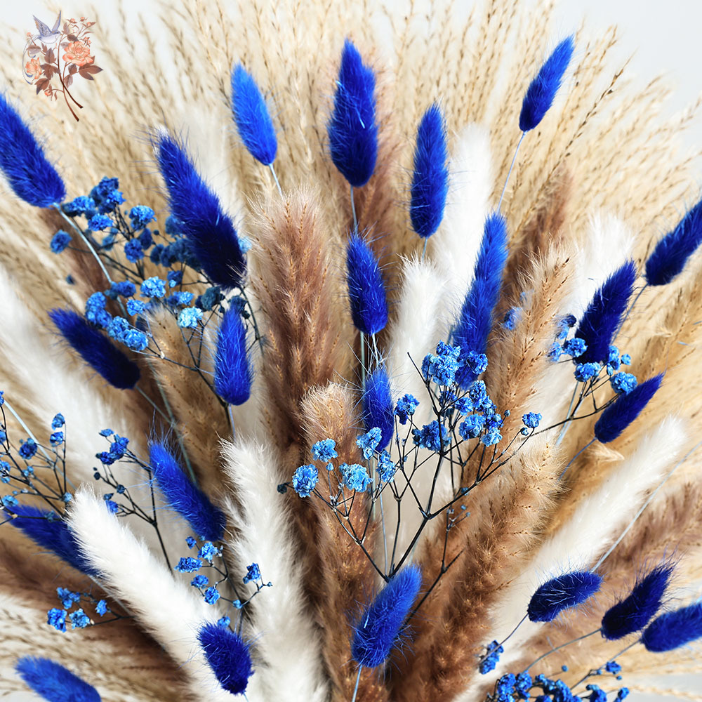 70 줄기 블루 푹신한 토끼 꼬리 팜파스 잔디 묶음 말 - Dried Flower Bunch 리뷰 및 가격