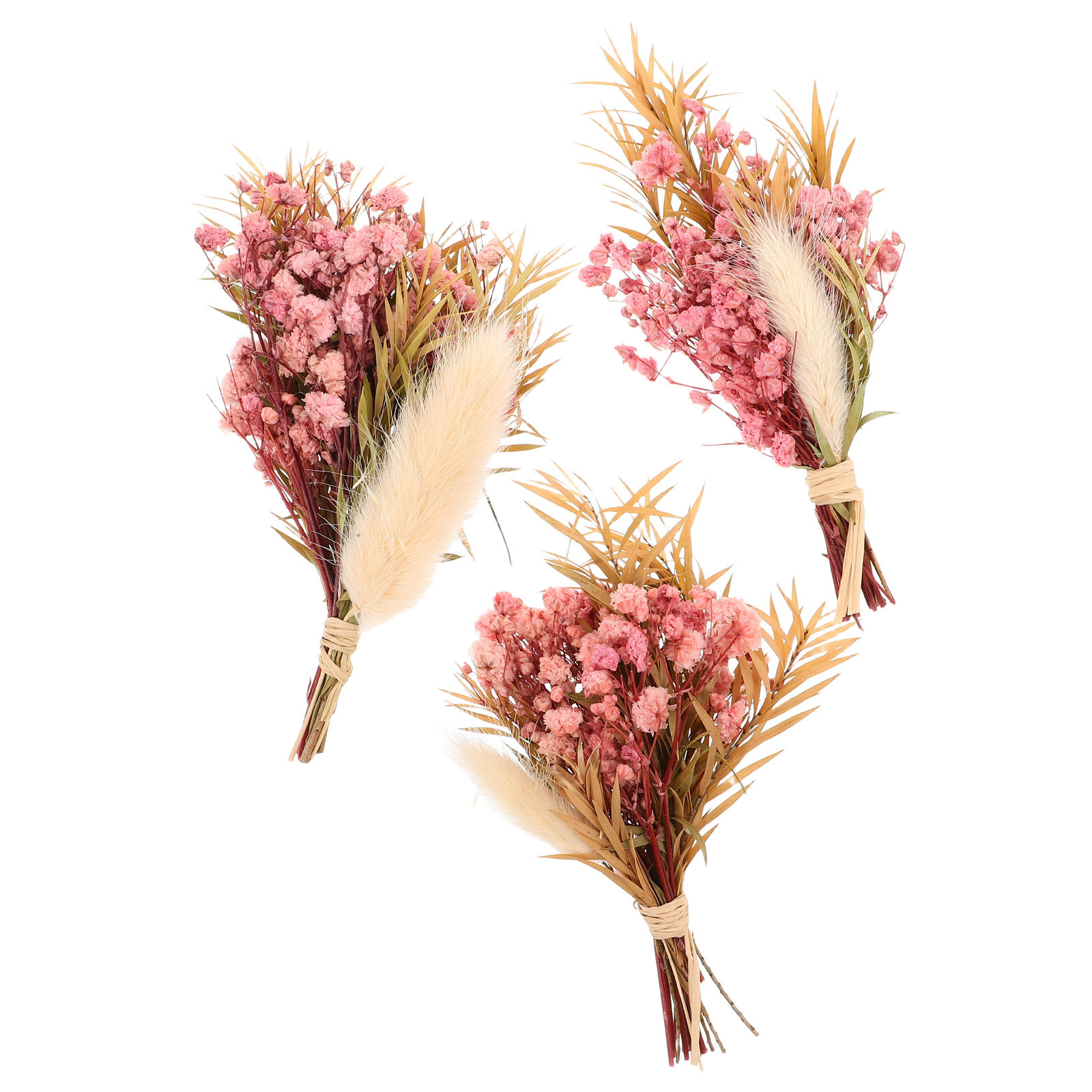 3개 미니 드라이플라워 부케, 자연스러운 작은 드라이플 - Dried Flower Bunch 리뷰 및 가격