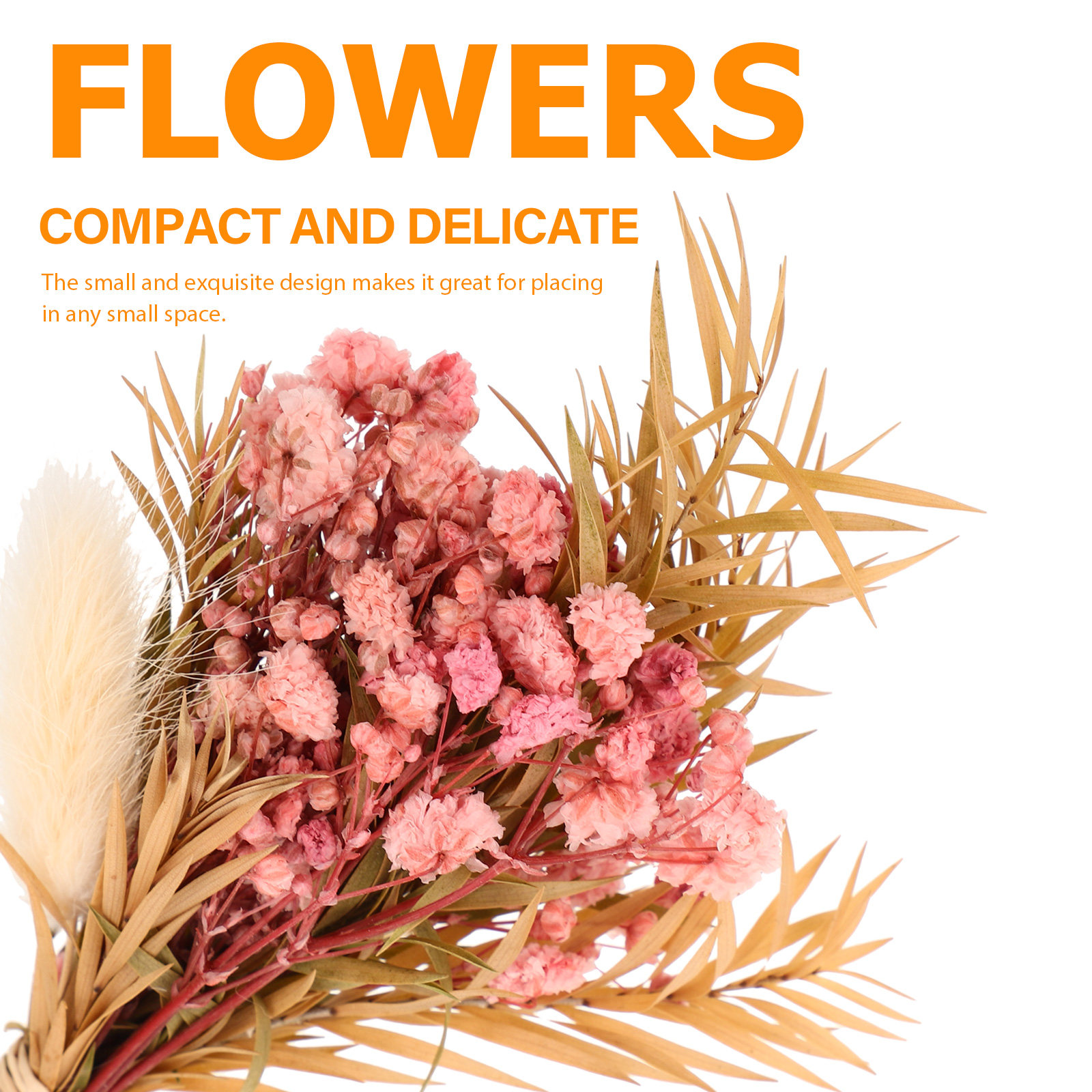 3개 미니 드라이플라워 부케, 자연스러운 작은 드라이플 - Dried Flower Bunch 리뷰 및 가격