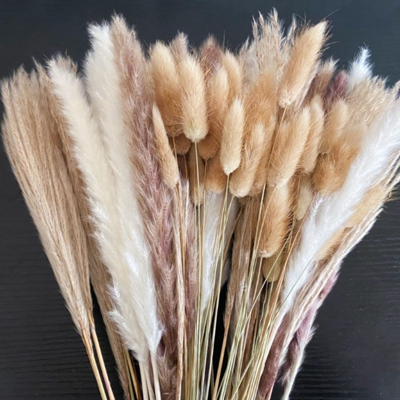 대량 100PCS 말린 팜파스 잔디 줄기 예술적 디자인 - Dried Flower Bunch 리뷰 및 가격