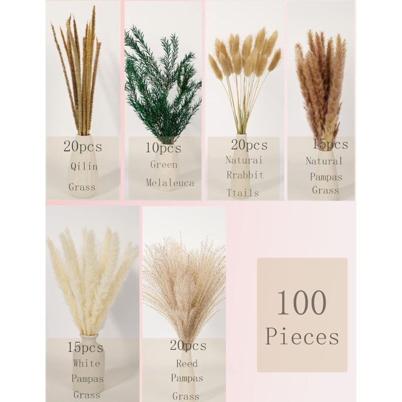 대량 100PCS 말린 팜파스 잔디 줄기 예술적 디자인 - Dried Flower Bunch 리뷰 및 가격