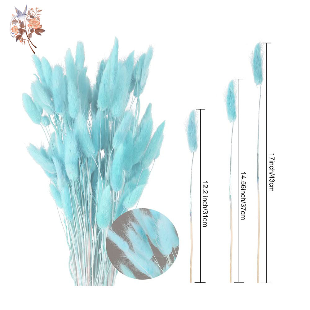 100Pcs 천연 토끼 꼬리 잔디 말린 꽃 꽃다발 홈  - Dried Flower Bunch 리뷰 및 가격