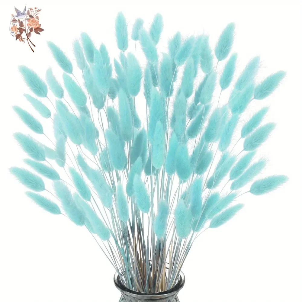100Pcs 천연 토끼 꼬리 잔디 말린 꽃 꽃다발 홈  - Dried Flower Bunch 리뷰 및 가격
