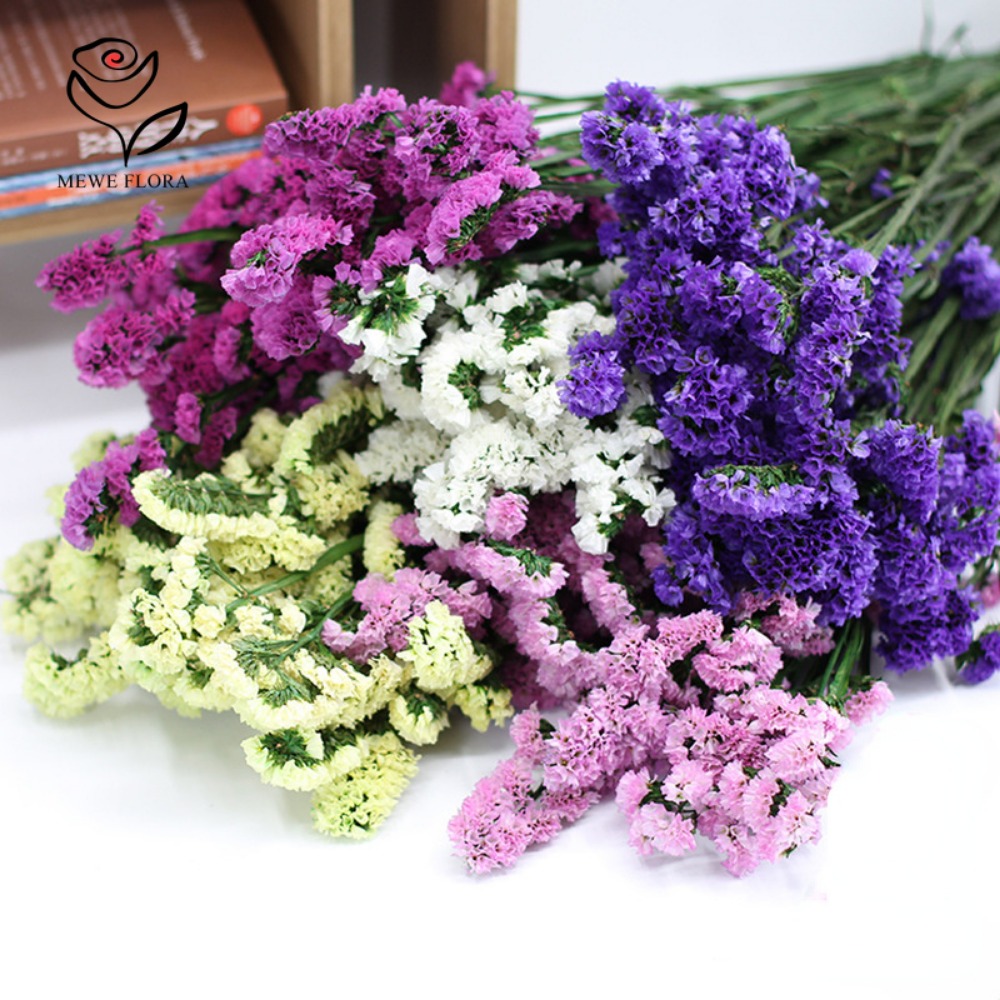 말린 나를 잊지마 꽃 향기로운 Myosotis 불멸의  - Dried Flower Bunch 리뷰 및 가격