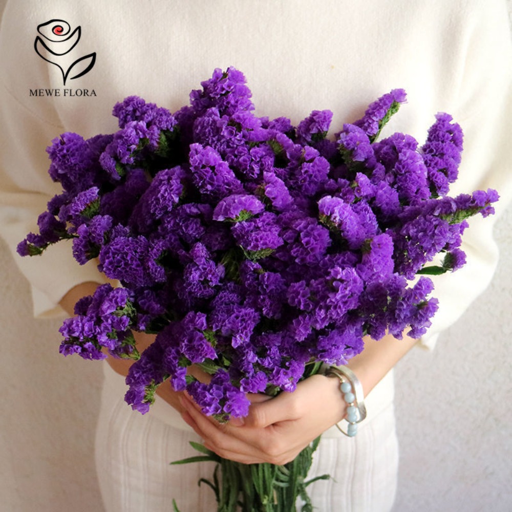 말린 나를 잊지마 꽃 향기로운 Myosotis 불멸의  - Dried Flower Bunch 리뷰 및 가격