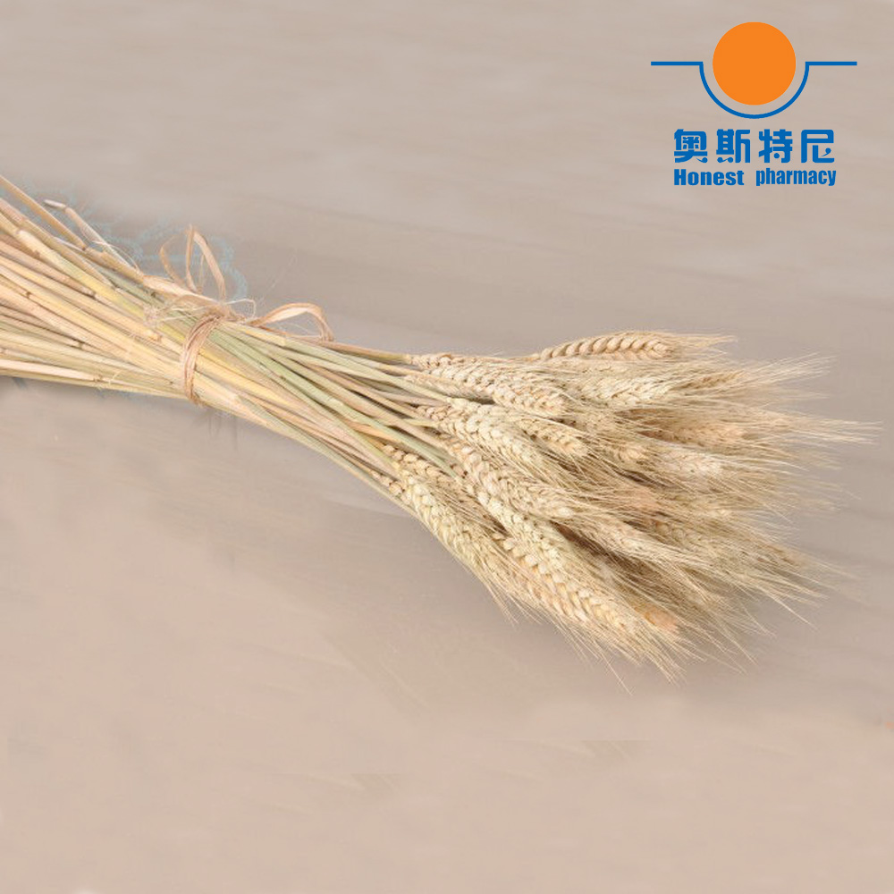 50개 천연 드라이플라워 부케, 밀 이삭 부케, 밀 이 - Dried Flower Bunch 리뷰 및 가격