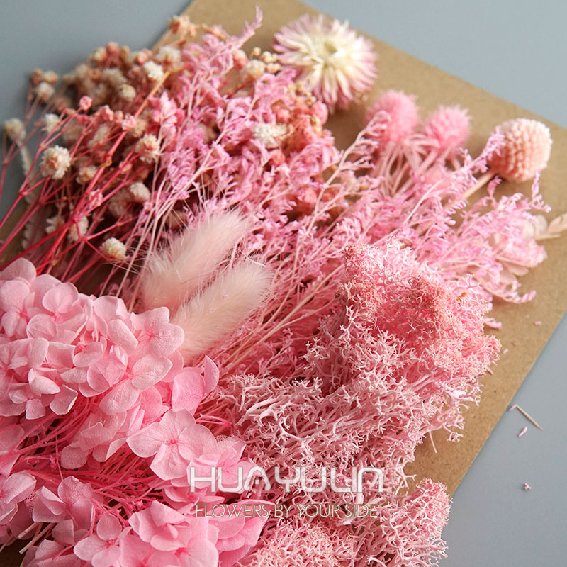 1 팩 인공 식물 말린 진짜 꽃 보존 재료 에폭시 수지 - Dried Flower Bunch 리뷰 및 가격